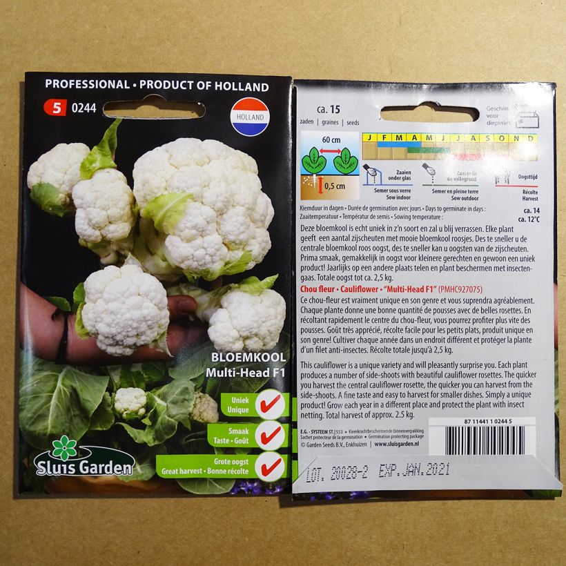 Exemple de spécimen de Chou-fleur Multi-head F1 Graines tel que livré