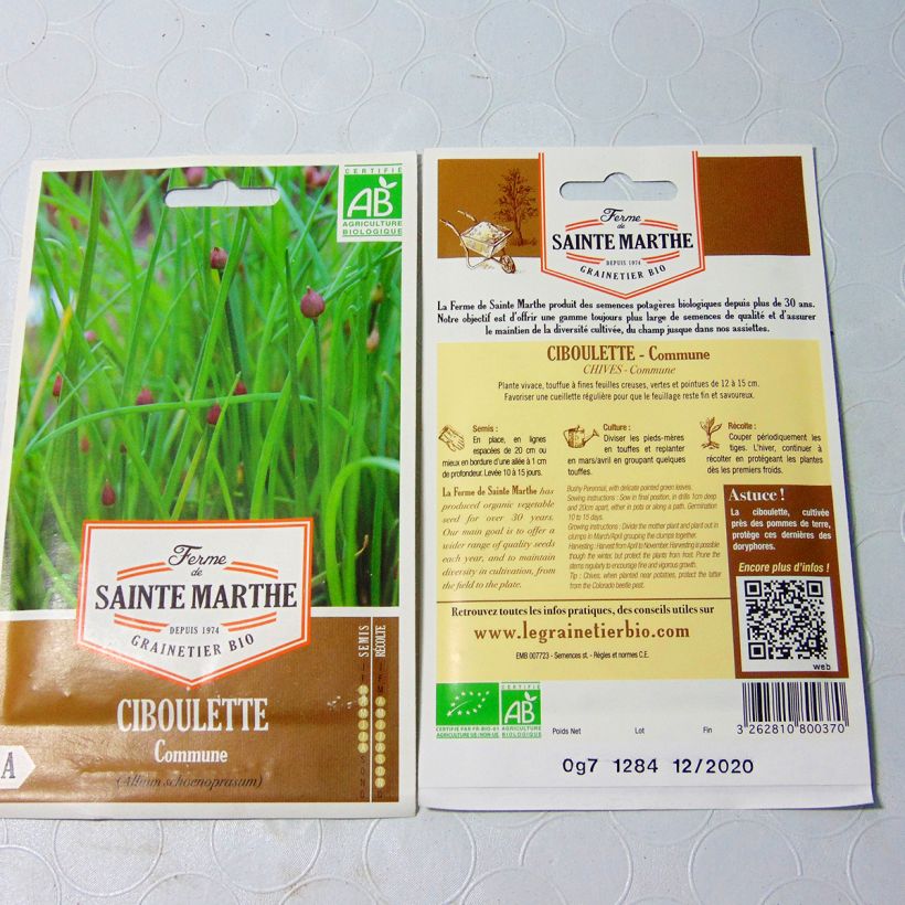 Exemple de spécimen de Ciboulette commune Bio - Ferme de Sainte Marthe Graines tel que livré