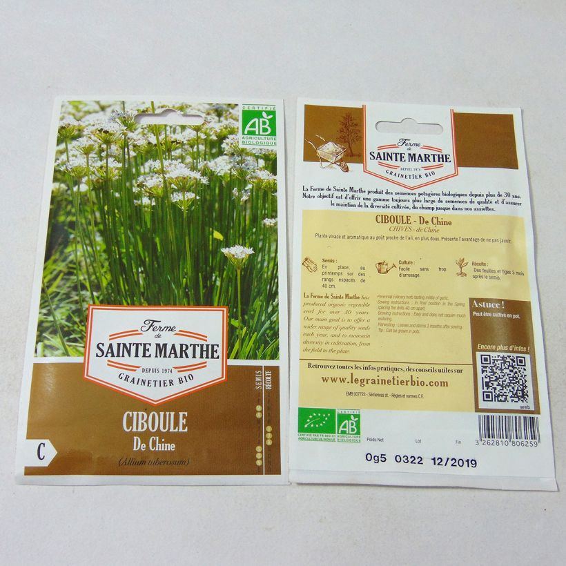 Exemple de spécimen de Ciboulette de Chine Bio- Ferme de Ste Marthe Graines tel que livré