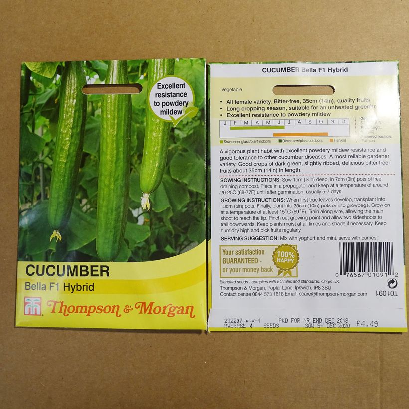 Exemple de spécimen de Concombre Bella F1 - Cucumis sativus Graines tel que livré