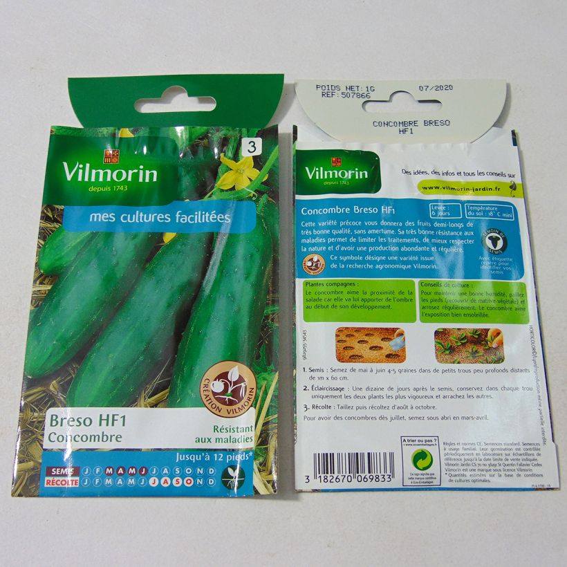 Exemple de spécimen de Concombre Breso F1 (Création Vilmorin) - Vilmorin Graines tel que livré