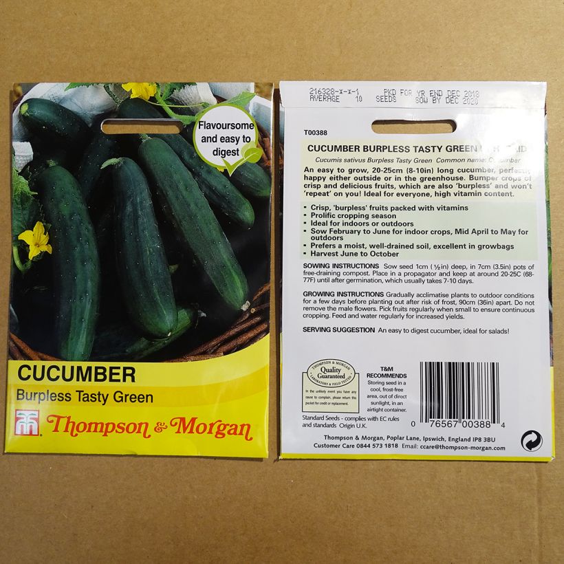 Exemple de spécimen de Concombre Burpless Tasty Green - Cucumis sativus Graines tel que livré