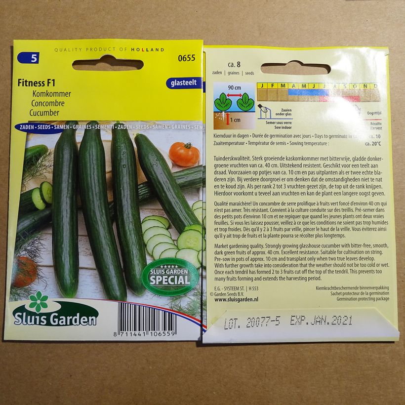 Exemple de spécimen de Concombre Fitness F1 - Cucumis sativus Graines tel que livré