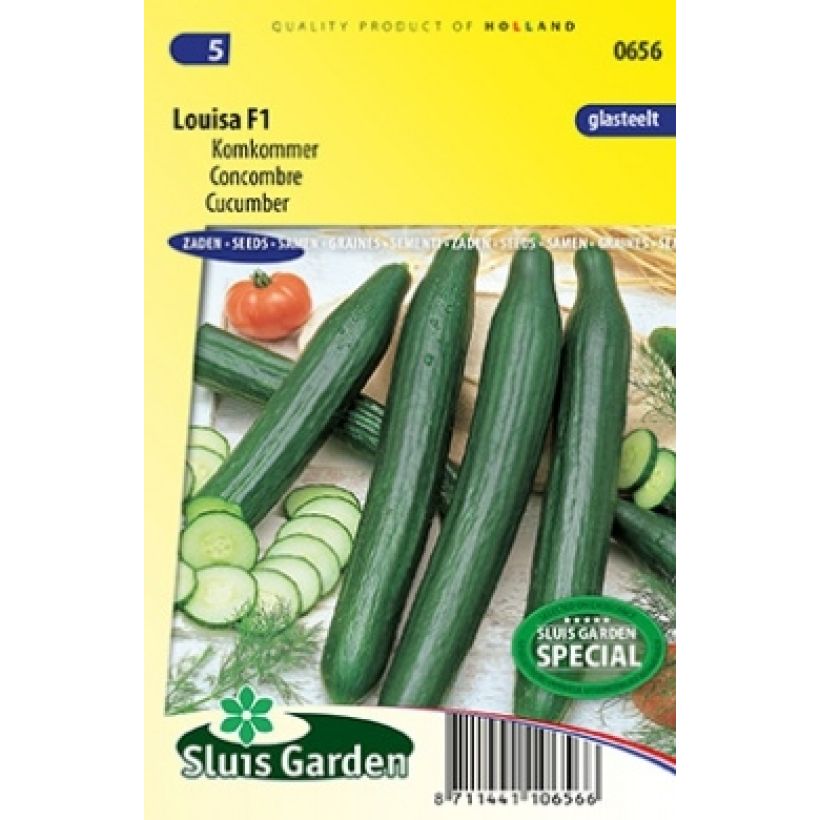 Exemple de spécimen de Concombre Louisa F1 - Graines Graines tel que livré