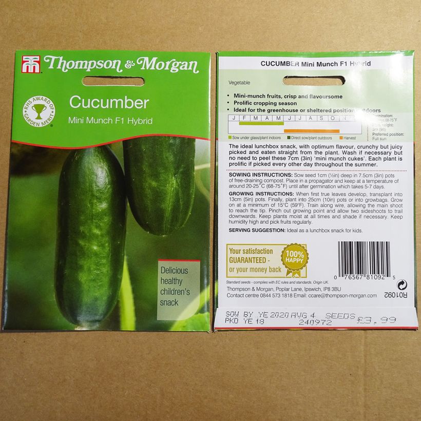 Exemple de spécimen de Concombre Mini Munch - Cucumis sativus Graines tel que livré