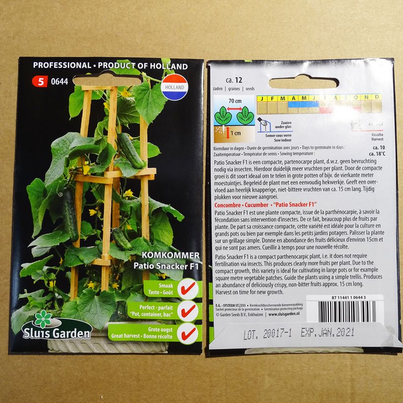 Exemple de spécimen de Concombre Patio Snacker F1 - Cucumis sativus Graines tel que livré