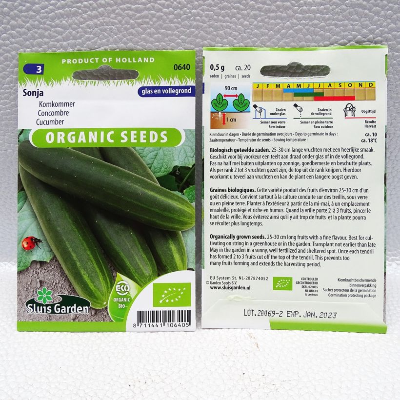 Exemple de spécimen de Concombre Sonja Bio - Cucumis sativus Graines tel que livré