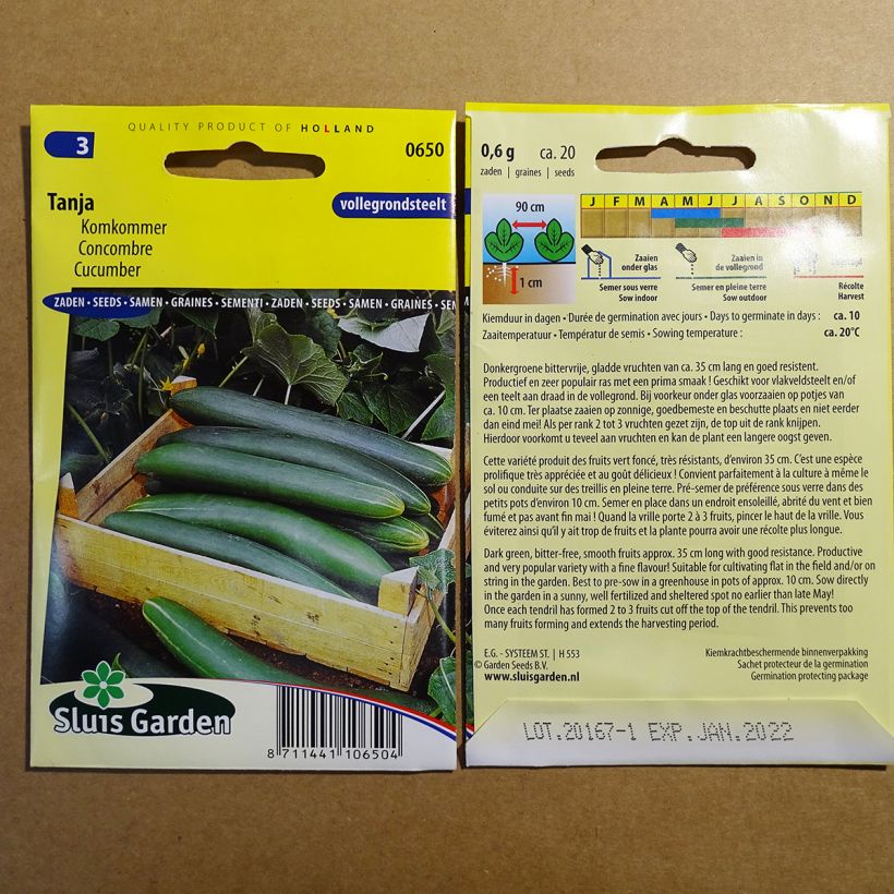 Exemple de spécimen de Concombre Tanja - Cucumis sativus Graines tel que livré