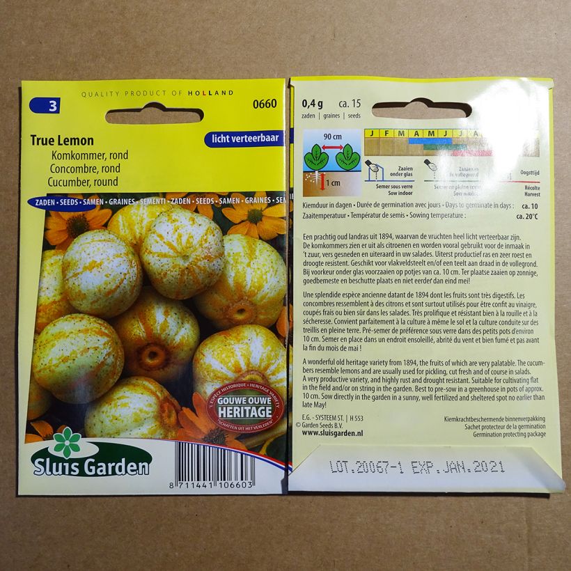 Exemple de spécimen de Concombre True Lemon Graines tel que livré
