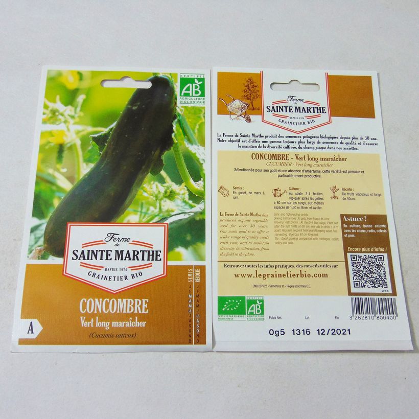Exemple de spécimen de Concombre Vert Long Maraîcher Bio - Ferme de Sainte Marthe Graines tel que livré