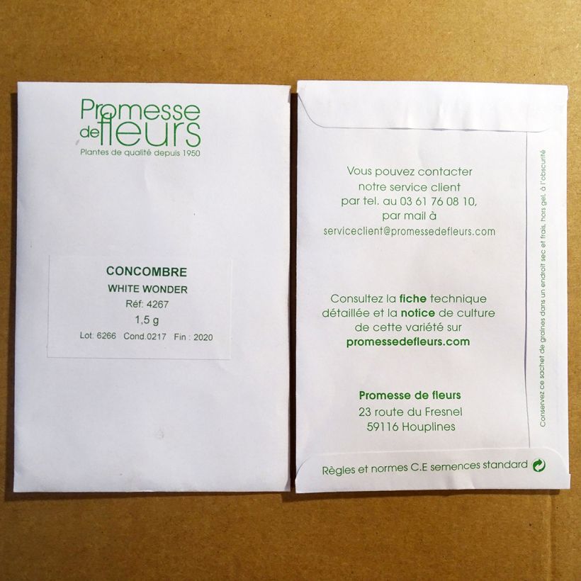 Exemple de spécimen de Concombre White Wonder - Concombre blanc Graines tel que livré