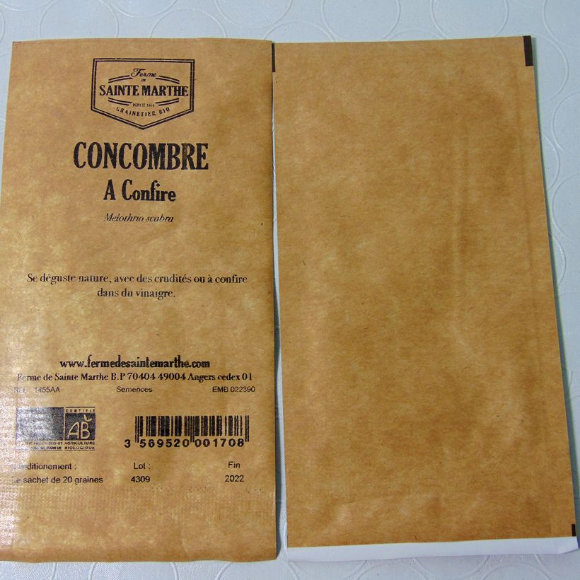 Exemple de spécimen de Concombre à confire (Cucamelon) Bio - Ferme de Sainte Marthe Graines tel que livré