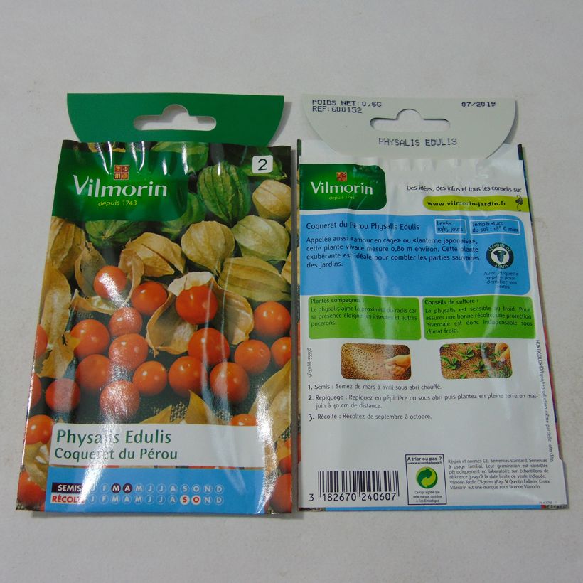 Exemple de spécimen de Coqueret du Pérou - Physalis edulis - Vilmorin Graines tel que livré
