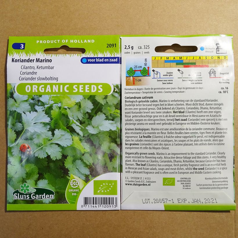 Exemple de spécimen de Coriandre Marino Bio le sachet de 325 graines (2g) tel que livré