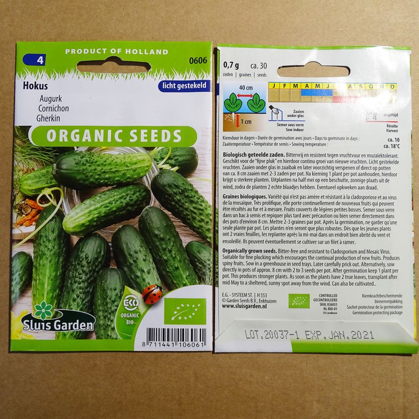 Exemple de spécimen de Cornichon Hokus Bio le sachet de 30 graines (1g) tel que livré