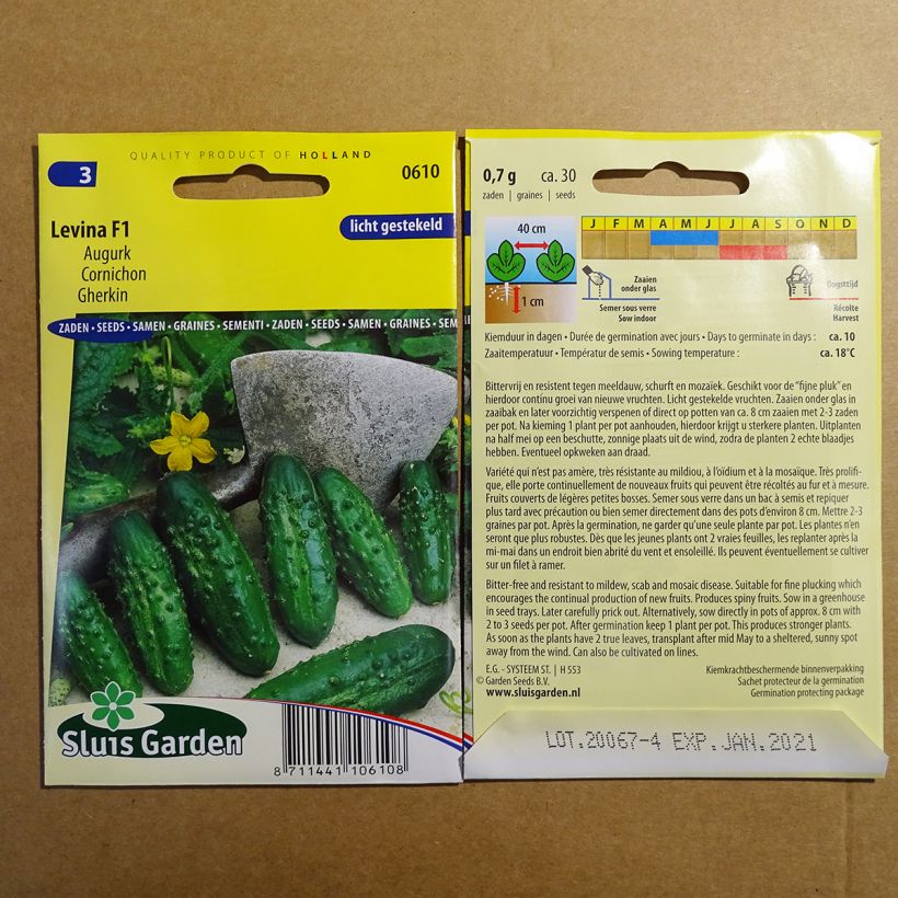 Exemple de spécimen de Cornichon Levina F1 Graines tel que livré