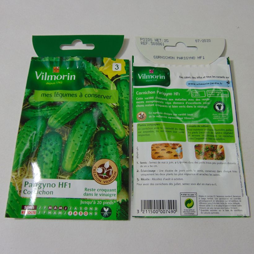 Exemple de spécimen de Cornichon Parigyno HF1 (Création Vilmorin) - Vilmorin Graines tel que livré