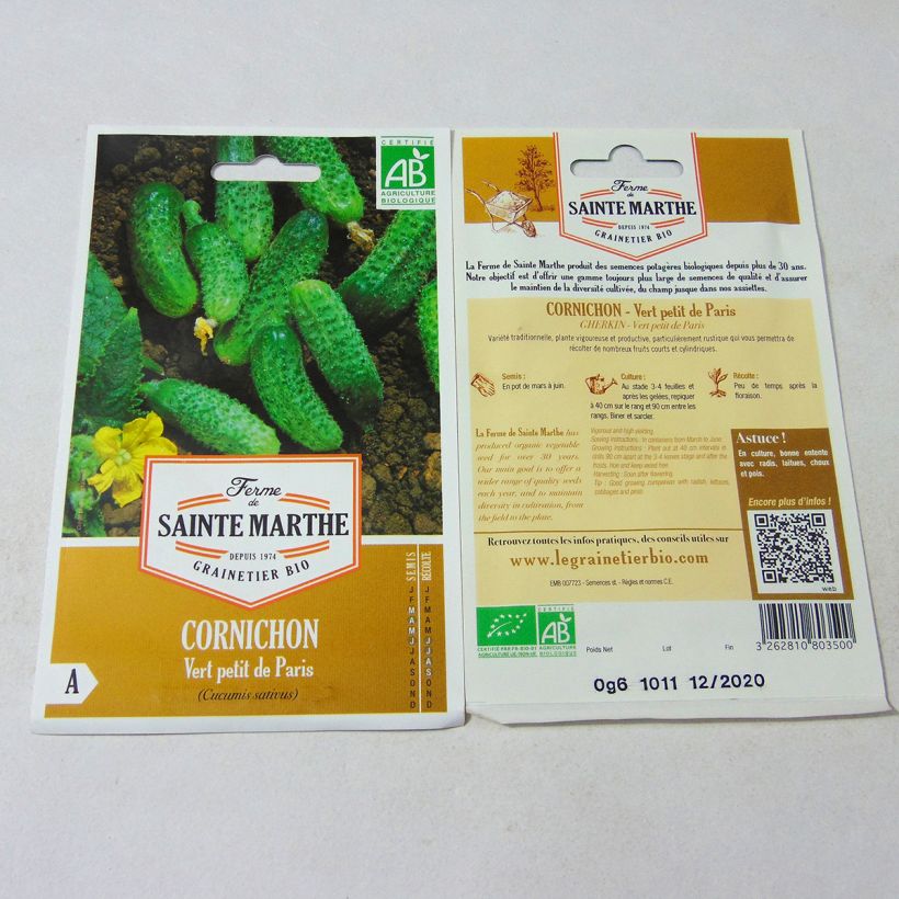 Exemple de spécimen de Cornichon Vert Petit de Paris Bio - Ferme de Sainte Marthe Graines tel que livré