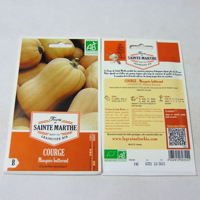 Exemple de spécimen de Courge Butternut Bio - Ferme de Sainte Marthe Graines tel que livré