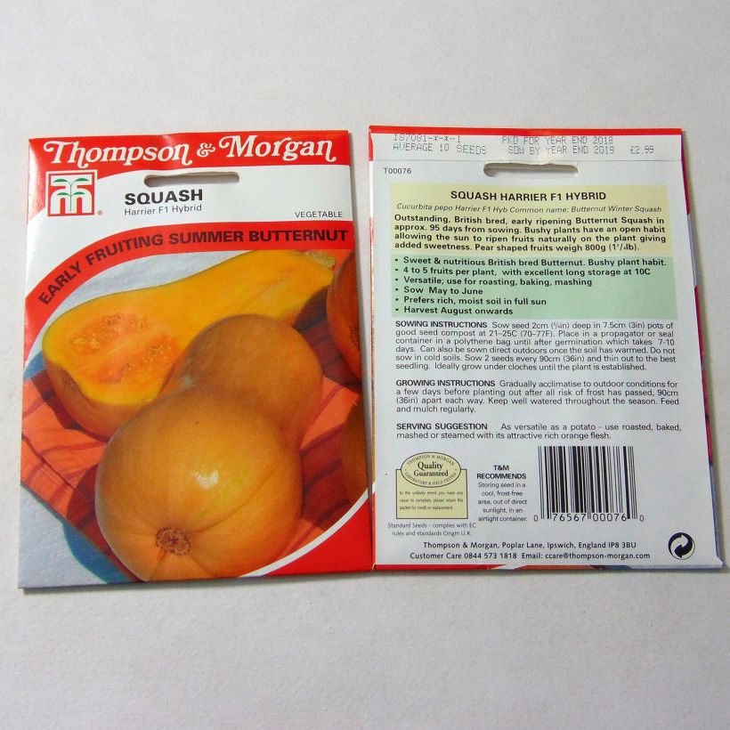 Exemple de spécimen de Courge Butternut Harrier F1  Graines tel que livré