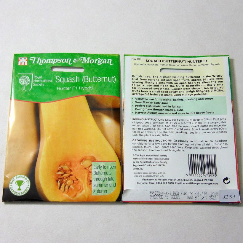 Exemple de spécimen de Courge Butternut Hunter F1 Graines tel que livré