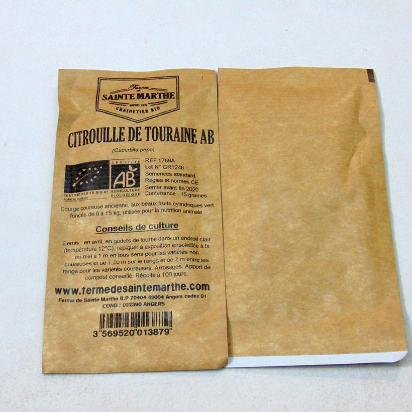 Exemple de spécimen de Courge Citrouille de Touraine Bio - Ferme de Sainte Marthe Graines tel que livré