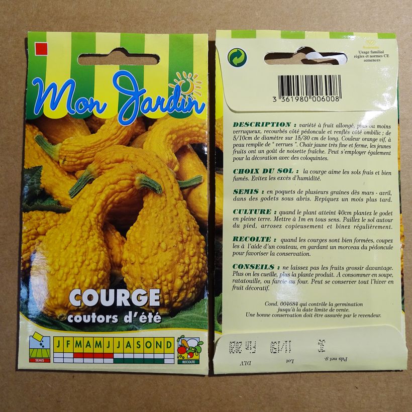 Exemple de spécimen de Courge Cou Tors - Cucurbita pepo Graines tel que livré