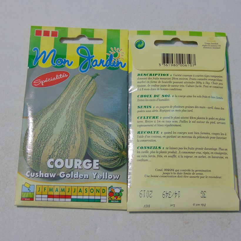 Spécimen de Courge Cushaw Golden  tel que livré en printemps