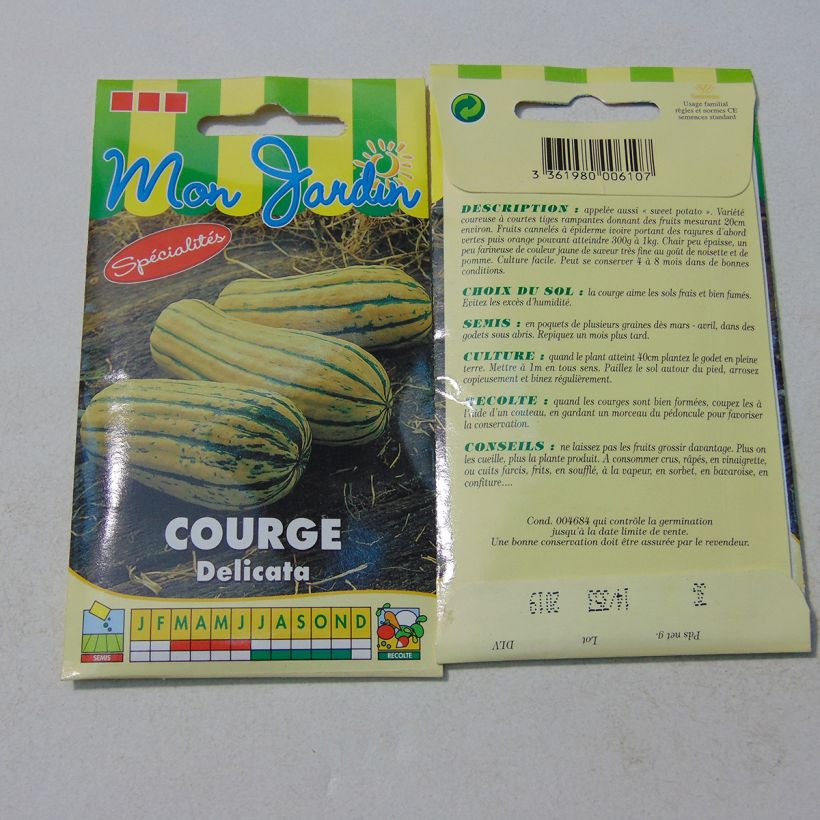 Exemple de spécimen de Courge Delicata - Courge Sweet potato Graines tel que livré
