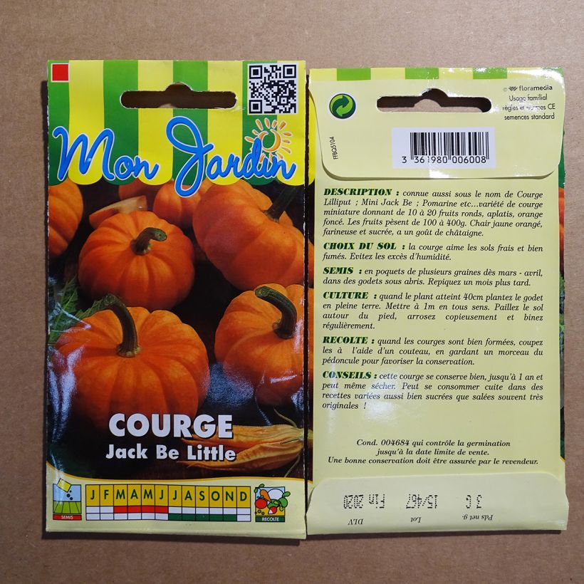 Spécimen de Courge Jack Be Little - Pomarine tel que livré en printemps