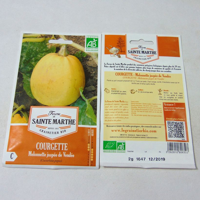 Exemple de spécimen de Courge Melonnette Jaspée de Vendée Bio - Ferme de Sainte Marthe Graines tel que livré