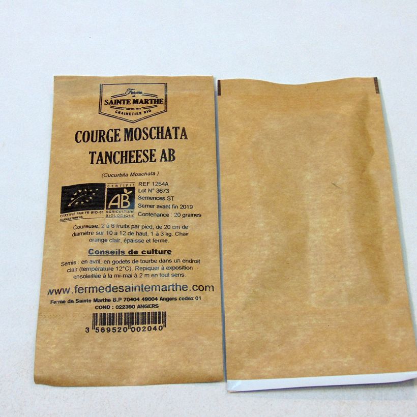 Exemple de spécimen de Courge Moschata Tancheese Bio - Ferme de Sainte Marthe Graines tel que livré