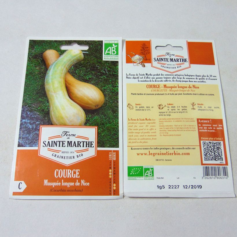 Exemple de spécimen de Courge Musquée Longue de Nice Bio - Ferme de Sainte Marthe Graines tel que livré