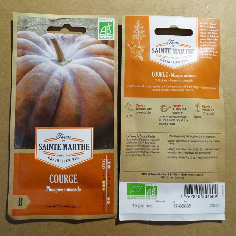Exemple de spécimen de Courge Musquée Muscade Bio - Ferme de Sainte Marthe Graines tel que livré