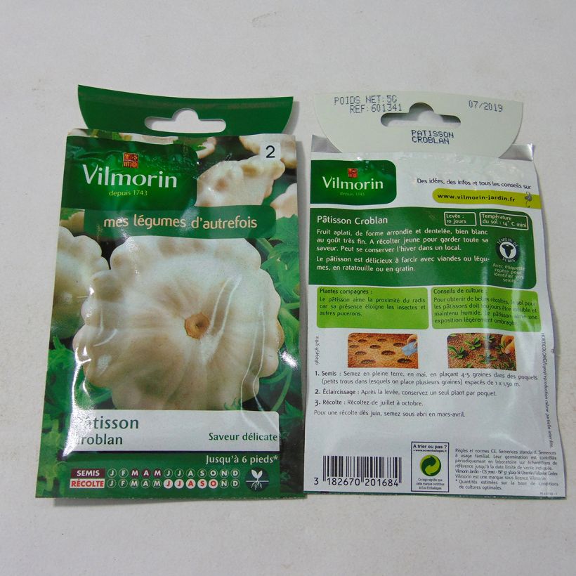 Exemple de spécimen de Courge Pâtisson Croblan - Vilmorin Graines tel que livré