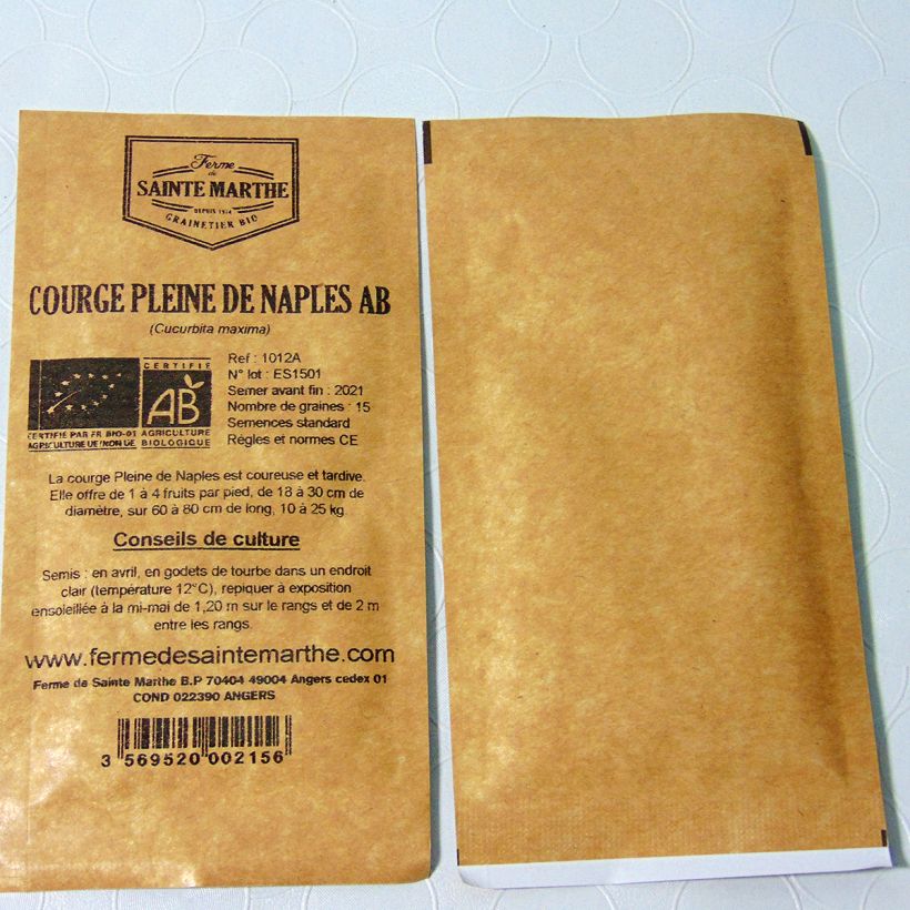 Exemple de spécimen de Courge Pleine de Naples Bio - Ferme de Sainte Marthe  Graines tel que livré