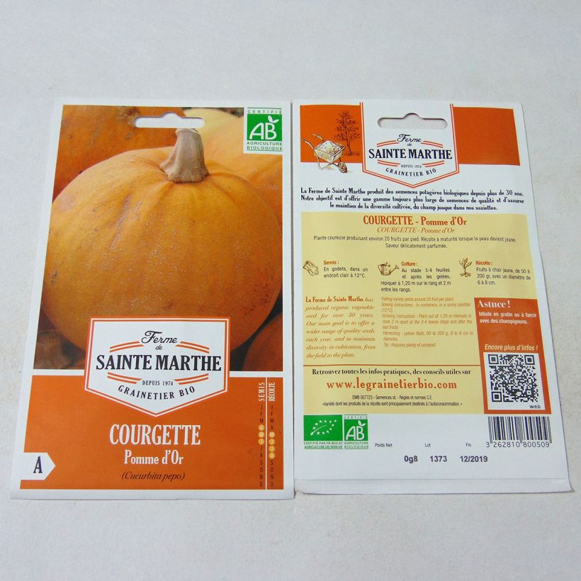 Exemple de spécimen de Courge Pomme d'Or Bio - Ferme de Sainte Marthe Graines tel que livré