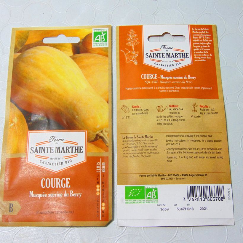 Exemple de spécimen de Courge Sucrine du Berry Bio - Ferme de Sainte Marthe Graines tel que livré