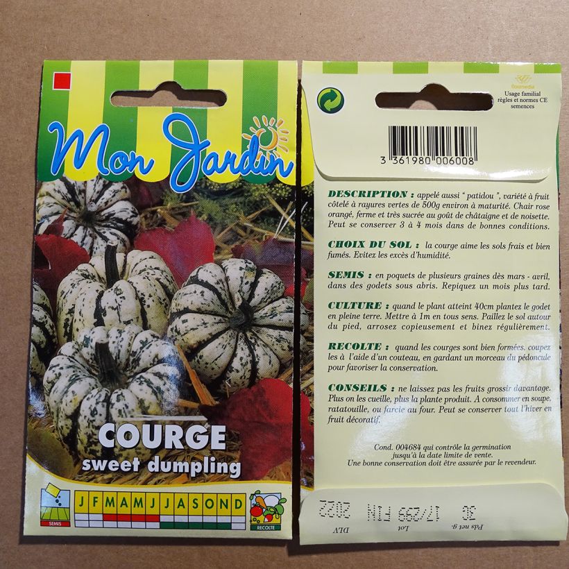 Spécimen de Courge Sweet Dumpling - Cucurbita pepo - Patidou tel que livré en printemps