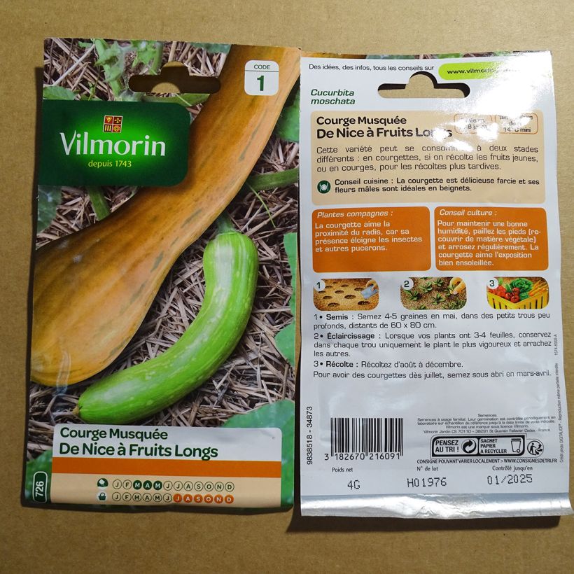 Exemple de spécimen de Courge de Nice à fruits longs -Vilmorin Graines tel que livré