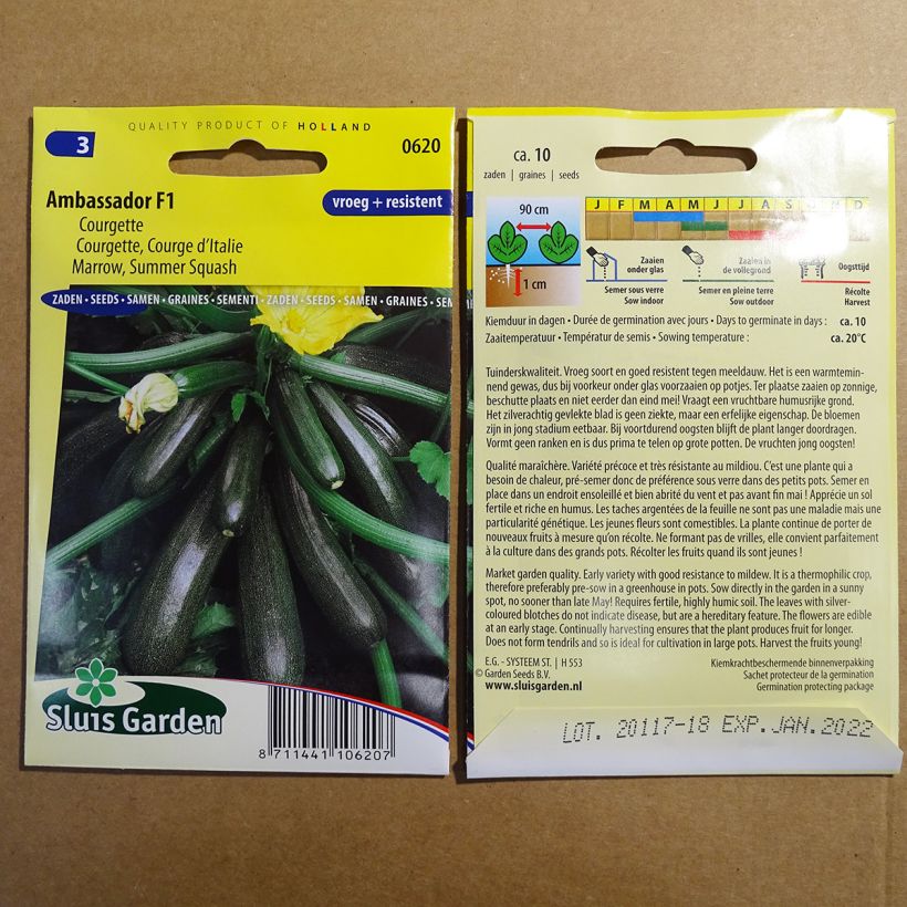 Exemple de spécimen de Courgette Ambassador F1 Graines tel que livré