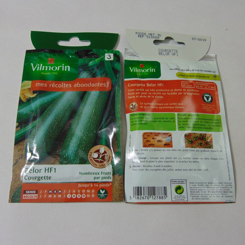 Exemple de spécimen de Courgette Belor F1 (Création Vilmorin) - Vilmorin le sachet de 30 graines (3g) tel que livré