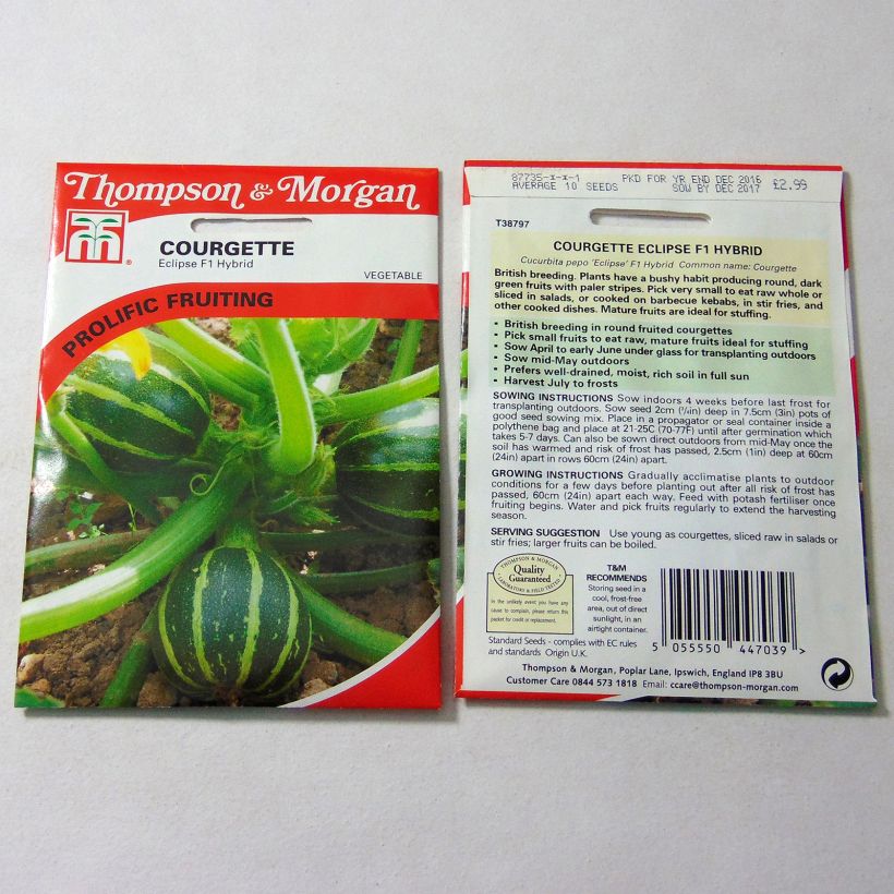 Exemple de spécimen de Courgette Eclipse F1  Graines tel que livré