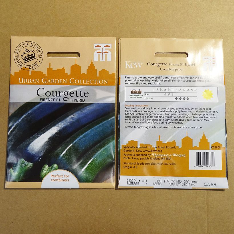 Exemple de spécimen de Courgette Firenze Graines tel que livré