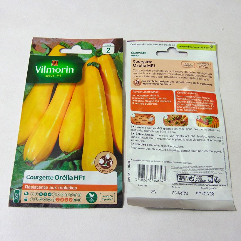 Exemple de spécimen de Courgette Orelia F1 (peau jaune) - Vilmorin Graines tel que livré