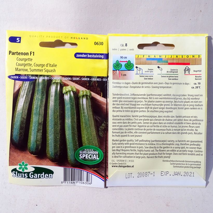 Exemple de spécimen de Courgette Partenon F1 - Cucurbita pepo le sachet de 8 graines tel que livré
