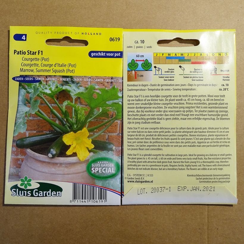 Exemple de spécimen de Courgette Patio Star F1 Graines tel que livré