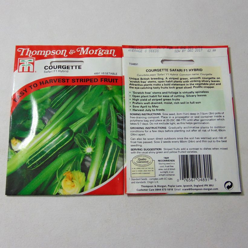 Exemple de spécimen de Courgette Safari F1  Graines tel que livré