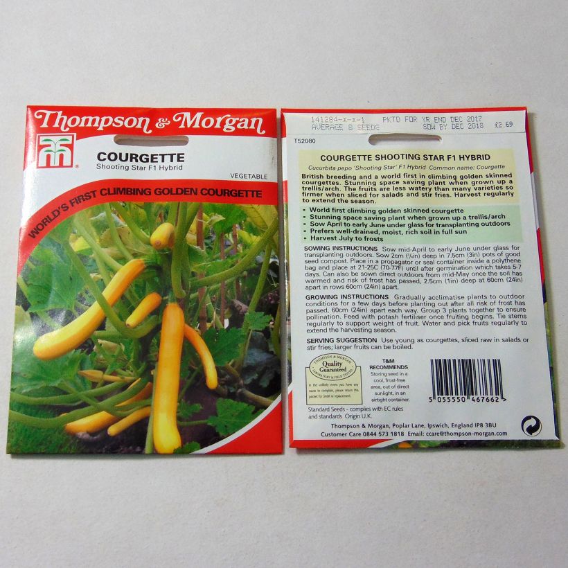 Exemple de spécimen de Courgette Shooting Star F1 Graines tel que livré