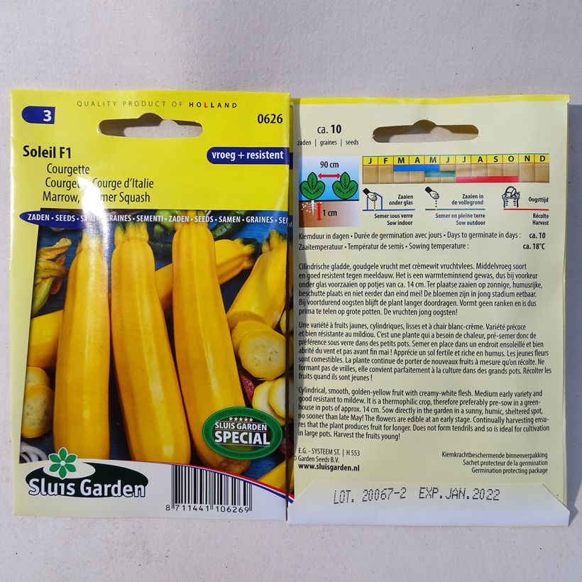 Exemple de spécimen de Courgette Soleil F1 Graines tel que livré